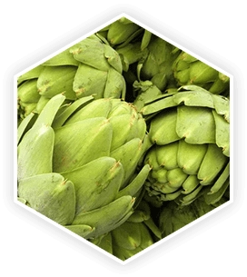 Artichoke extract — luteolin antioxidant for prostate inflammation reduction and liver support