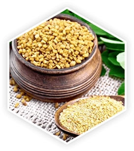 Fenugreek seeds — natural 5-alpha reductase inhibitor for DHT reduction and prostate health