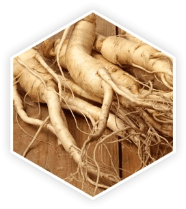 Korean Red Ginseng root — nitric oxide booster for prostate blood flow and erectile function